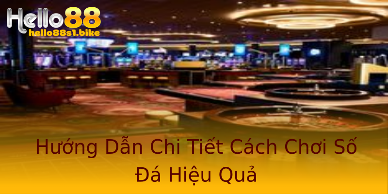 Hướng Dẫn Chi Tiết Cách Chơi Số Đá Hiệu Quả Hướng Dẫn Chi Tiết Cách Chơi Số Đá Hiệu Quả