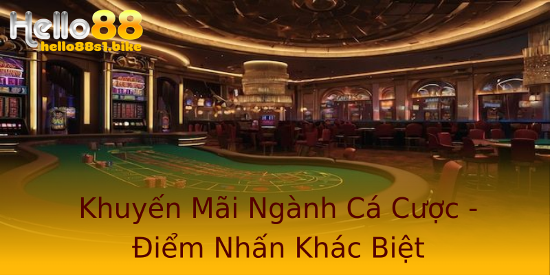Khuyến Mãi Ngành Cá Cược - Điểm Nhấn Khác Biệt Khuyến Mãi Ngành Cá Cược - Điểm Nhấn Khác Biệt
