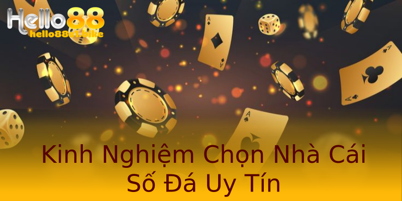 Kinh Nghiệm Chọn Nhà Cái Số Đá Uy Tín Kinh Nghiệm Chọn Nhà Cái Số Đá Uy Tín